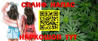 спиды Можга