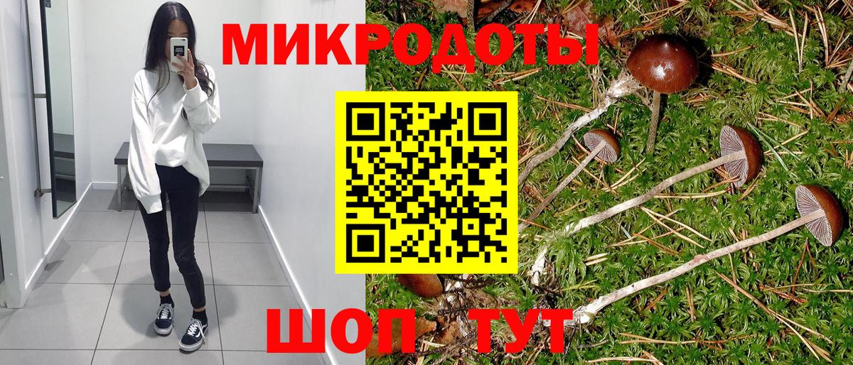 Псилоцибиновые грибы Psilocybine cubensis  Вход с VPN  Сосновый Бор 