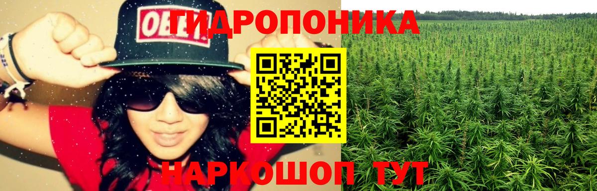 Бошки марихуана LSD WEED Сосновый Бор